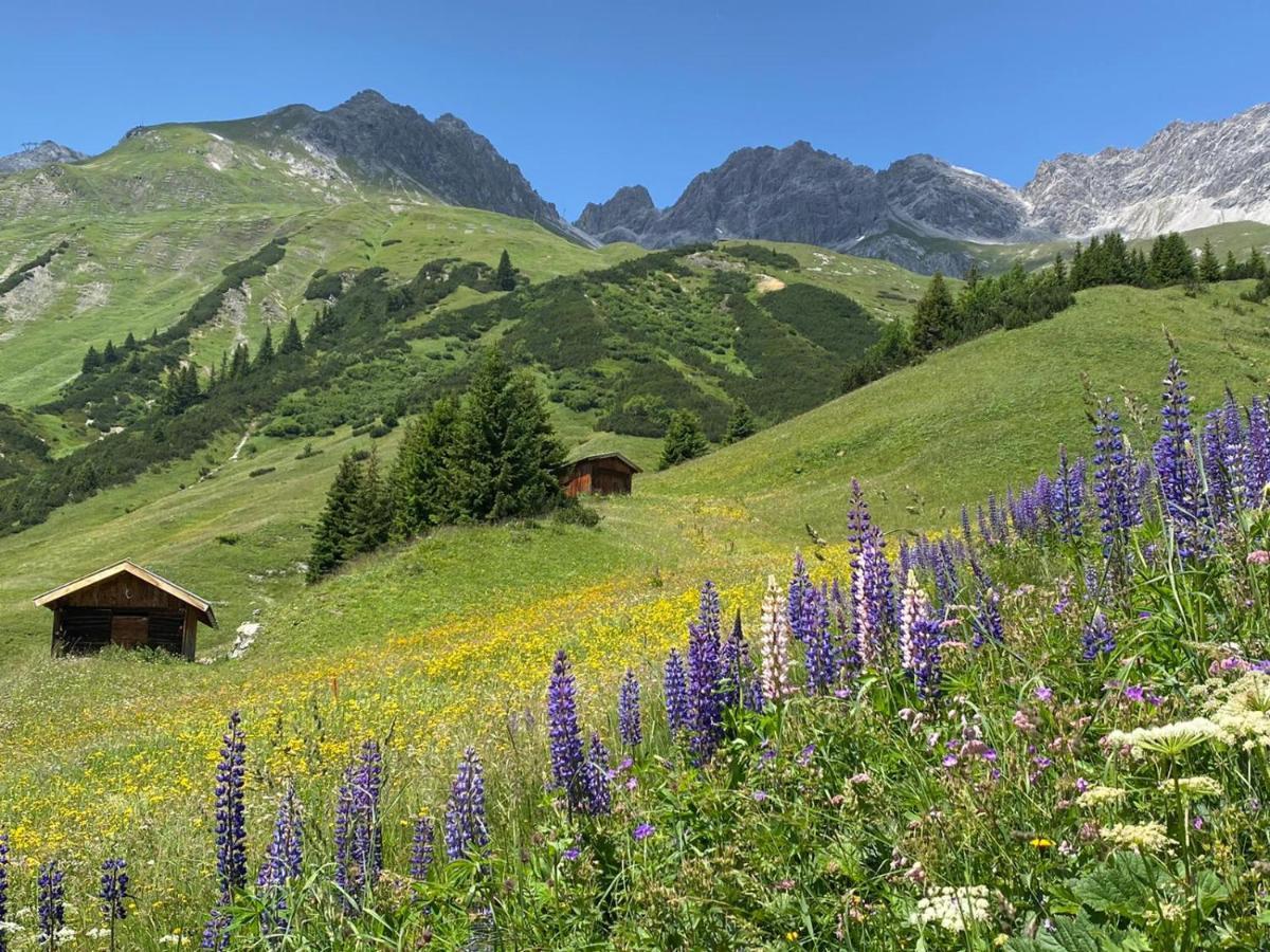 Apartment Ibex
